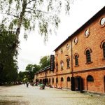 Strandbad gesucht, Dynamit gefunden (III)
