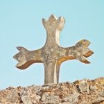 Der stille Tod meiner ersten Milie