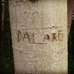Auf nach Dalarö!