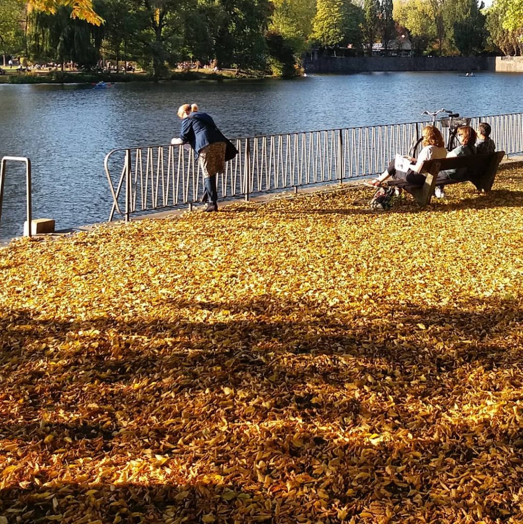 Herbst, Blätter, Gedanken, Meditation, Sehnsucht, Jahreszeiten